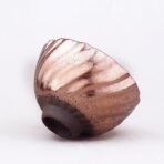 golden-nugget-jian-zhan-tenmoku-tea-cup-4_88a31c56-5ac6-4854-bf4d-45ad246dc46e.jpg